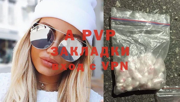 прущие крисы Корсаков
