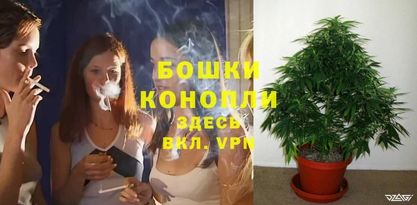 прущие крисы Корсаков