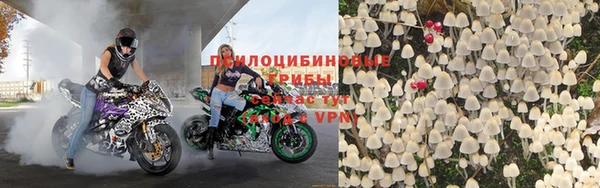 прущие крисы Корсаков