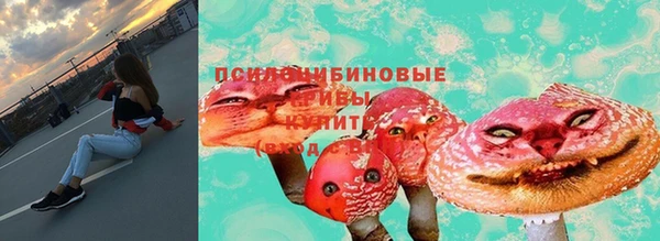 прущие крисы Корсаков